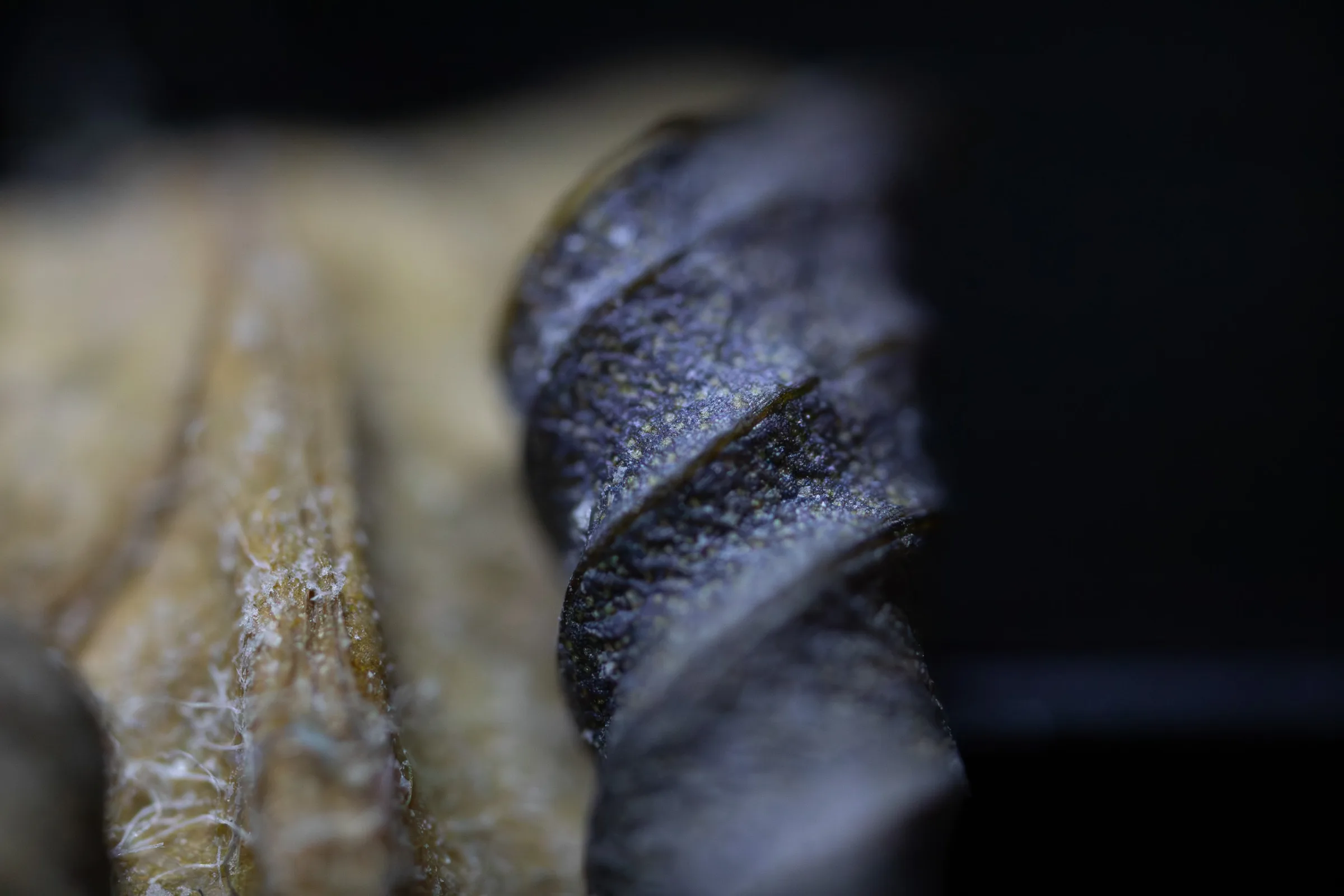 Verwelktes Blatt
